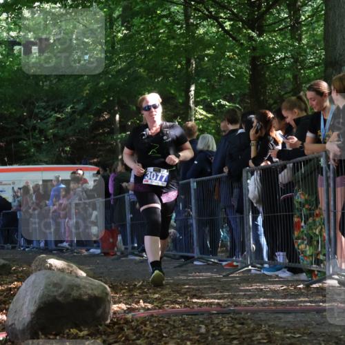 28.09.2025 - 33. Volkslauf durch das schöne Alstertal Strokosch-Dieckow http://msf.ph/oto/8968120 28.09.2025 11:48:23 Ziel 1592, 1774, 3077 meine-sportfotos.de