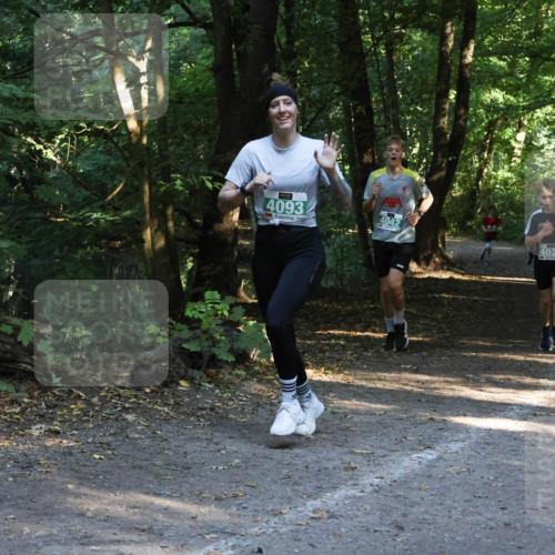28.09.2025 - 33. Volkslauf durch das schöne Alstertal Strokosch-Dieckow http://msf.ph/oto/8968122 28.09.2025 10:53:53 Laufen 4093, 4042, 4033 meine-sportfotos.de