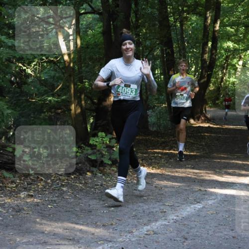 28.09.2025 - 33. Volkslauf durch das schöne Alstertal Strokosch-Dieckow http://msf.ph/oto/8968123 28.09.2025 10:53:53 Laufen 4093, 4042, 4033 meine-sportfotos.de