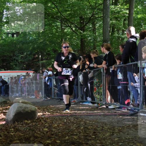 28.09.2025 - 33. Volkslauf durch das schöne Alstertal Strokosch-Dieckow http://msf.ph/oto/8968124 28.09.2025 11:48:24 Ziel 1592, 1774, 3077 meine-sportfotos.de