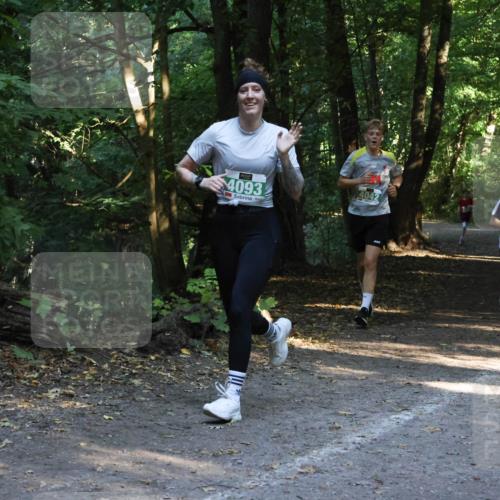 28.09.2025 - 33. Volkslauf durch das schöne Alstertal Strokosch-Dieckow http://msf.ph/oto/8968125 28.09.2025 10:53:53 Laufen 4093, 4042, 4033 meine-sportfotos.de