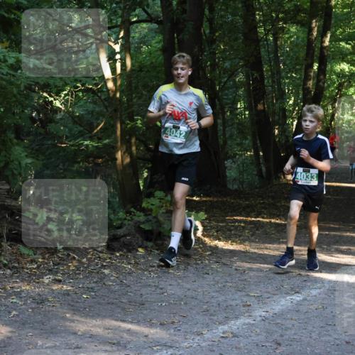 28.09.2025 - 33. Volkslauf durch das schöne Alstertal Strokosch-Dieckow http://msf.ph/oto/8968126 28.09.2025 10:53:54 Laufen 4042, 4033 meine-sportfotos.de