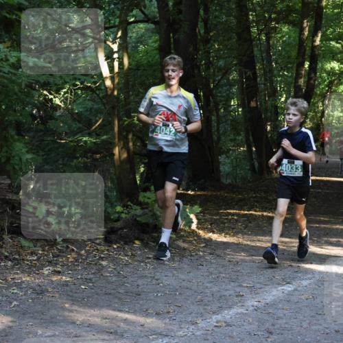 28.09.2025 - 33. Volkslauf durch das schöne Alstertal Strokosch-Dieckow http://msf.ph/oto/8968127 28.09.2025 10:53:54 Laufen 4042, 4033 meine-sportfotos.de