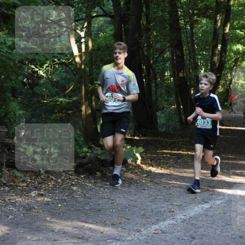 28.09.2025 - 33. Volkslauf durch das schöne Alstertal Strokosch-Dieckow http://msf.ph/oto/8968129 28.09.2025 10:53:54 Laufen 4033 meine-sportfotos.de