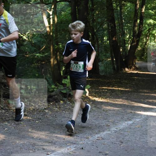 28.09.2025 - 33. Volkslauf durch das schöne Alstertal Strokosch-Dieckow http://msf.ph/oto/8968131 28.09.2025 10:53:55 Laufen 1, 4033 meine-sportfotos.de