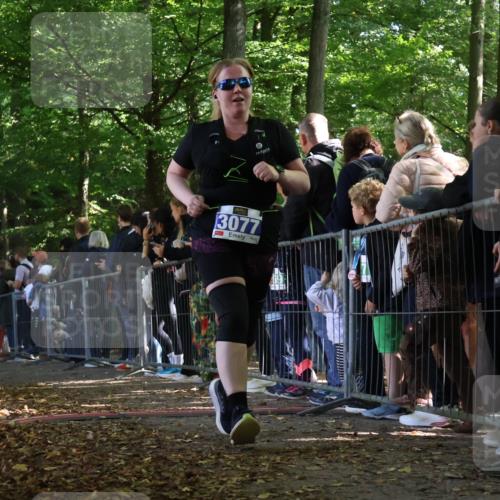 28.09.2025 - 33. Volkslauf durch das schöne Alstertal Strokosch-Dieckow http://msf.ph/oto/8968132 28.09.2025 11:48:25 Ziel 1592, 1774, 3077 meine-sportfotos.de