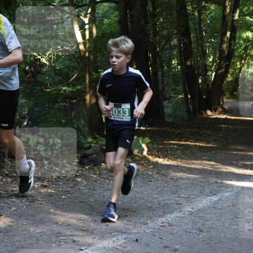 28.09.2025 - 33. Volkslauf durch das schöne Alstertal Strokosch-Dieckow http://msf.ph/oto/8968133 28.09.2025 10:53:55 Laufen 033 meine-sportfotos.de