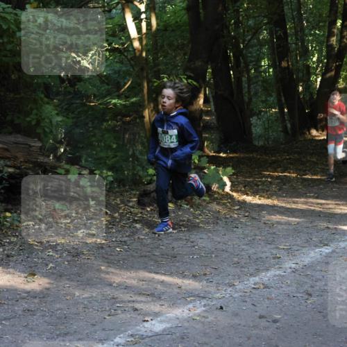 28.09.2025 - 33. Volkslauf durch das schöne Alstertal Strokosch-Dieckow http://msf.ph/oto/8968134 28.09.2025 10:54:02 Laufen 4084 meine-sportfotos.de