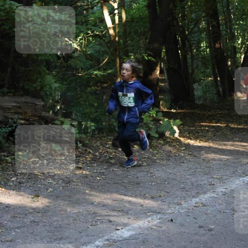 28.09.2025 - 33. Volkslauf durch das schöne Alstertal Strokosch-Dieckow http://msf.ph/oto/8968135 28.09.2025 10:54:02 Laufen 4084 meine-sportfotos.de