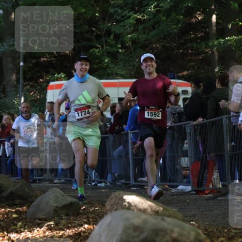 28.09.2025 - 33. Volkslauf durch das schöne Alstertal Strokosch-Dieckow http://msf.ph/oto/8968136 28.09.2025 11:48:29 Ziel 1559, 1592, 1774, 2229 meine-sportfotos.de