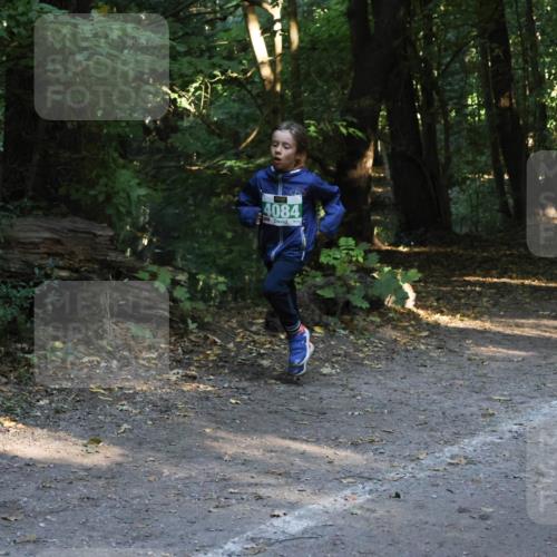 28.09.2025 - 33. Volkslauf durch das schöne Alstertal Strokosch-Dieckow http://msf.ph/oto/8968137 28.09.2025 10:54:02 Laufen 4084 meine-sportfotos.de