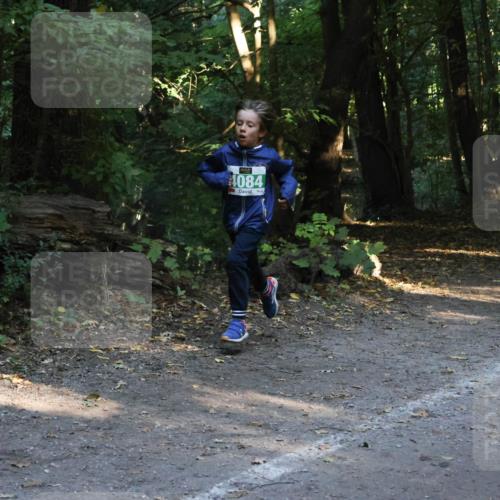 28.09.2025 - 33. Volkslauf durch das schöne Alstertal Strokosch-Dieckow http://msf.ph/oto/8968138 28.09.2025 10:54:02 Laufen 4084, 4120 meine-sportfotos.de