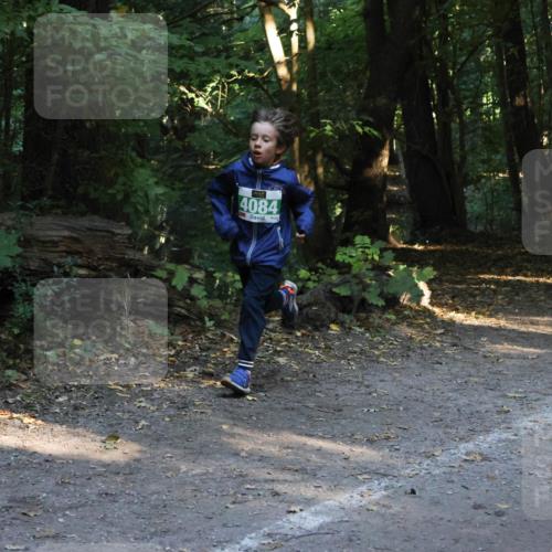 28.09.2025 - 33. Volkslauf durch das schöne Alstertal Strokosch-Dieckow http://msf.ph/oto/8968139 28.09.2025 10:54:02 Laufen 4084 meine-sportfotos.de