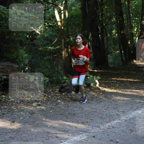 28.09.2025 - 33. Volkslauf durch das schöne Alstertal Strokosch-Dieckow http://msf.ph/oto/8968141 28.09.2025 10:54:04 Laufen 120, 4046 meine-sportfotos.de