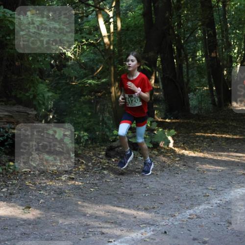 28.09.2025 - 33. Volkslauf durch das schöne Alstertal Strokosch-Dieckow http://msf.ph/oto/8968142 28.09.2025 10:54:04 Laufen 4120, 4046 meine-sportfotos.de