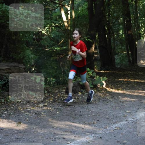 28.09.2025 - 33. Volkslauf durch das schöne Alstertal Strokosch-Dieckow http://msf.ph/oto/8968144 28.09.2025 10:54:04 Laufen 4120 meine-sportfotos.de
