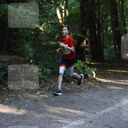 28.09.2025 - 33. Volkslauf durch das schöne Alstertal Strokosch-Dieckow http://msf.ph/oto/8968145 28.09.2025 10:54:04 Laufen 4120, 4040 meine-sportfotos.de