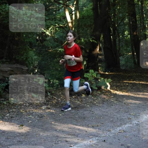 28.09.2025 - 33. Volkslauf durch das schöne Alstertal Strokosch-Dieckow http://msf.ph/oto/8968146 28.09.2025 10:54:04 Laufen 120, 4046 meine-sportfotos.de