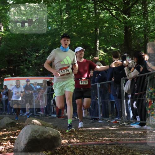 28.09.2025 - 33. Volkslauf durch das schöne Alstertal Strokosch-Dieckow http://msf.ph/oto/8968147 28.09.2025 11:48:30 Ziel 1559, 1592, 1774, 2229 meine-sportfotos.de