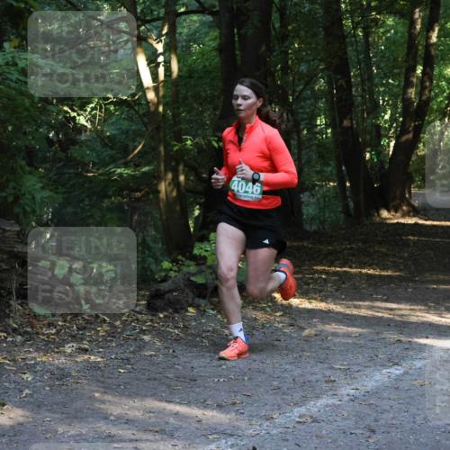 28.09.2025 - 33. Volkslauf durch das schöne Alstertal Strokosch-Dieckow http://msf.ph/oto/8968148 28.09.2025 10:54:06 Laufen 4046 meine-sportfotos.de