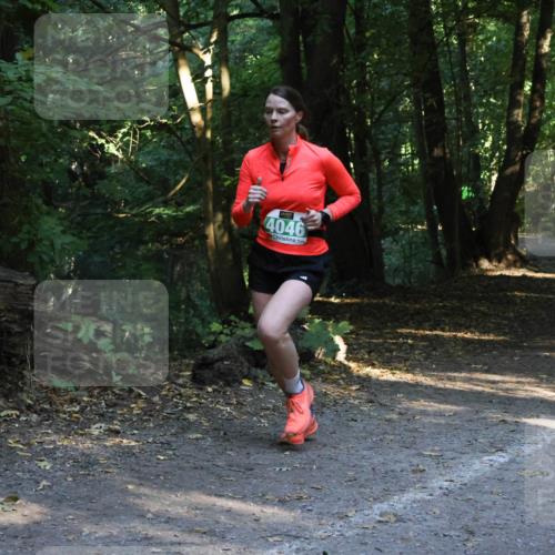 28.09.2025 - 33. Volkslauf durch das schöne Alstertal Strokosch-Dieckow http://msf.ph/oto/8968150 28.09.2025 10:54:06 Laufen 4046 meine-sportfotos.de