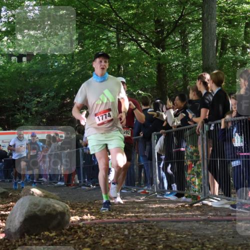 28.09.2025 - 33. Volkslauf durch das schöne Alstertal Strokosch-Dieckow http://msf.ph/oto/8968151 28.09.2025 11:48:31 Ziel 1559, 1592, 1774, 2229 meine-sportfotos.de