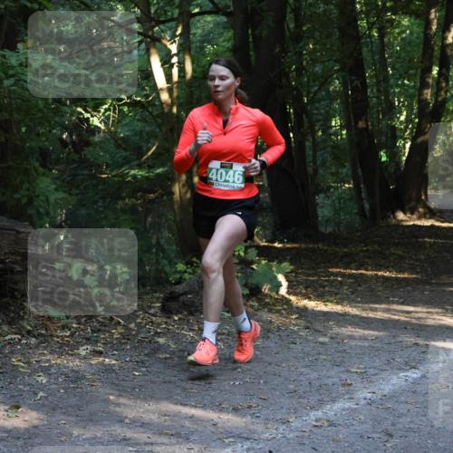 28.09.2025 - 33. Volkslauf durch das schöne Alstertal Strokosch-Dieckow http://msf.ph/oto/8968152 28.09.2025 10:54:06 Laufen 44046 meine-sportfotos.de