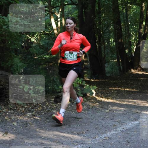 28.09.2025 - 33. Volkslauf durch das schöne Alstertal Strokosch-Dieckow http://msf.ph/oto/8968153 28.09.2025 10:54:06 Laufen 4046 meine-sportfotos.de