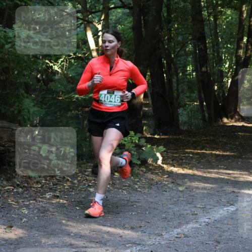 28.09.2025 - 33. Volkslauf durch das schöne Alstertal Strokosch-Dieckow http://msf.ph/oto/8968154 28.09.2025 10:54:06 Laufen 4046 meine-sportfotos.de