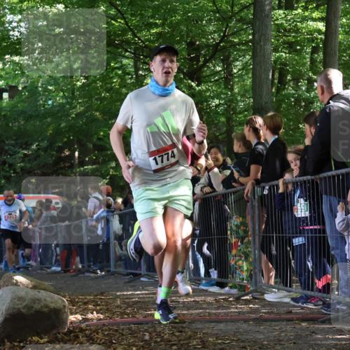 28.09.2025 - 33. Volkslauf durch das schöne Alstertal Strokosch-Dieckow http://msf.ph/oto/8968155 28.09.2025 11:48:31 Ziel 1559, 1592, 1774, 2229 meine-sportfotos.de