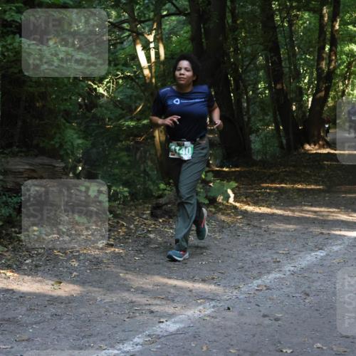 28.09.2025 - 33. Volkslauf durch das schöne Alstertal Strokosch-Dieckow http://msf.ph/oto/8968157 28.09.2025 10:54:23 Laufen 4140 meine-sportfotos.de