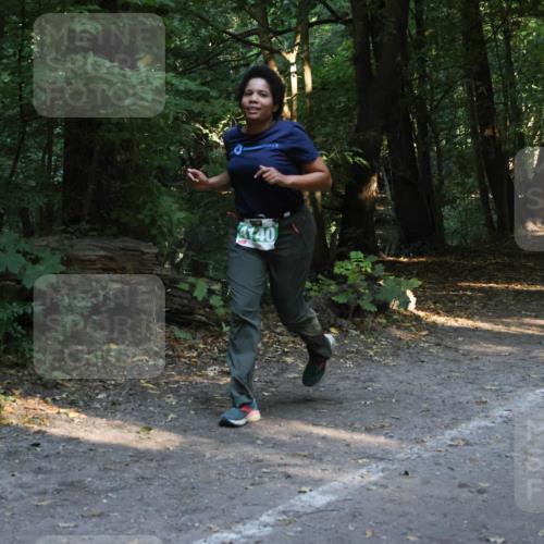 28.09.2025 - 33. Volkslauf durch das schöne Alstertal Strokosch-Dieckow http://msf.ph/oto/8968164 28.09.2025 10:54:23 Laufen 4140 meine-sportfotos.de