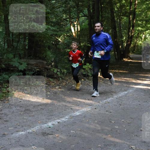 28.09.2025 - 33. Volkslauf durch das schöne Alstertal Strokosch-Dieckow http://msf.ph/oto/8968170 28.09.2025 10:54:35 Laufen 4912 meine-sportfotos.de