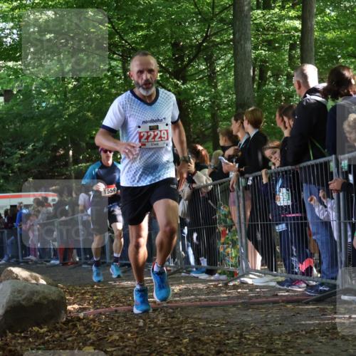 28.09.2025 - 33. Volkslauf durch das schöne Alstertal Strokosch-Dieckow http://msf.ph/oto/8968174 28.09.2025 11:48:34 Ziel 1559, 1560, 2229 meine-sportfotos.de