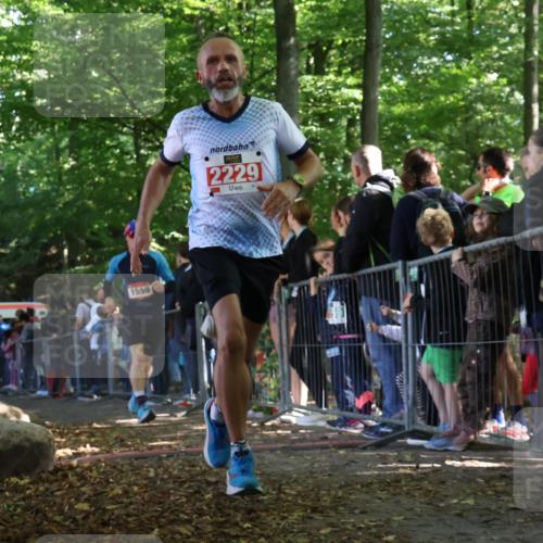 28.09.2025 - 33. Volkslauf durch das schöne Alstertal Strokosch-Dieckow http://msf.ph/oto/8968177 28.09.2025 11:48:34 Ziel 1559, 1560, 2229 meine-sportfotos.de
