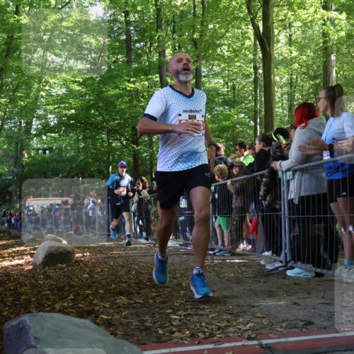 28.09.2025 - 33. Volkslauf durch das schöne Alstertal Strokosch-Dieckow http://msf.ph/oto/8968181 28.09.2025 11:48:35 Ziel 1559, 1560, 1590, 2229 meine-sportfotos.de