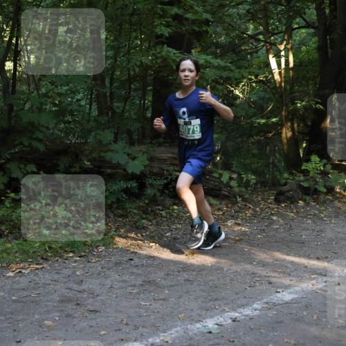 28.09.2025 - 33. Volkslauf durch das schöne Alstertal Strokosch-Dieckow http://msf.ph/oto/8968186 28.09.2025 10:54:41 Laufen 4079 meine-sportfotos.de