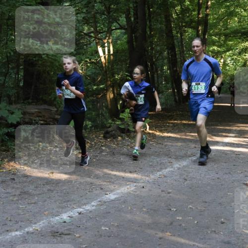 28.09.2025 - 33. Volkslauf durch das schöne Alstertal Strokosch-Dieckow http://msf.ph/oto/8968190 28.09.2025 10:54:57 Laufen 4133, 108, 34 meine-sportfotos.de