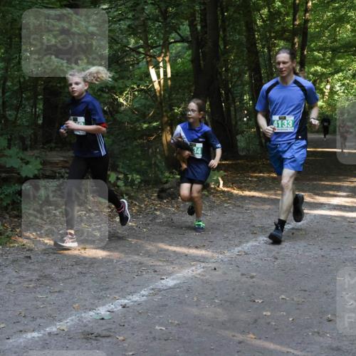 28.09.2025 - 33. Volkslauf durch das schöne Alstertal Strokosch-Dieckow http://msf.ph/oto/8968192 28.09.2025 10:54:58 Laufen 4133 meine-sportfotos.de