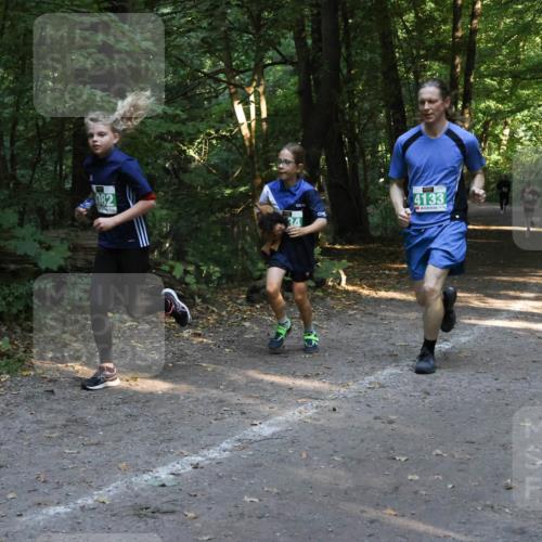 28.09.2025 - 33. Volkslauf durch das schöne Alstertal Strokosch-Dieckow http://msf.ph/oto/8968194 28.09.2025 10:54:58 Laufen 082, 4133 meine-sportfotos.de