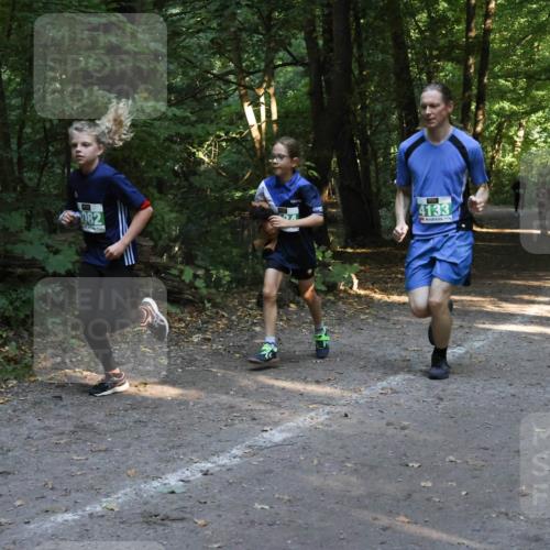 28.09.2025 - 33. Volkslauf durch das schöne Alstertal Strokosch-Dieckow http://msf.ph/oto/8968195 28.09.2025 10:54:58 Laufen 082, 4133 meine-sportfotos.de