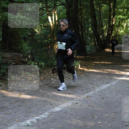 28.09.2025 - 33. Volkslauf durch das schöne Alstertal Strokosch-Dieckow http://msf.ph/oto/8968199 28.09.2025 10:55:10 Laufen 4065 meine-sportfotos.de