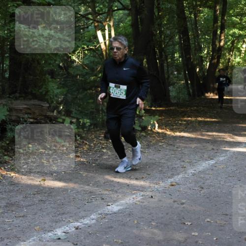 28.09.2025 - 33. Volkslauf durch das schöne Alstertal Strokosch-Dieckow http://msf.ph/oto/8968200 28.09.2025 10:55:10 Laufen 4065 meine-sportfotos.de