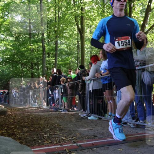 28.09.2025 - 33. Volkslauf durch das schöne Alstertal Strokosch-Dieckow http://msf.ph/oto/8968201 28.09.2025 11:48:37 Ziel 1559, 1560, 1590, 1607 meine-sportfotos.de