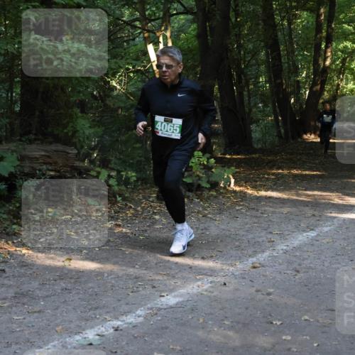28.09.2025 - 33. Volkslauf durch das schöne Alstertal Strokosch-Dieckow http://msf.ph/oto/8968202 28.09.2025 10:55:10 Laufen 4065 meine-sportfotos.de