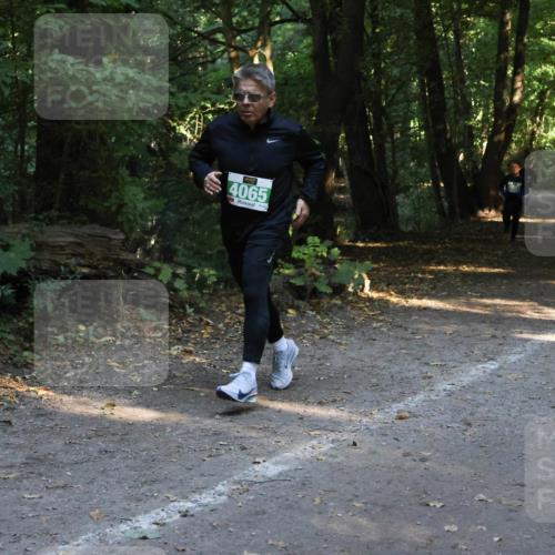 28.09.2025 - 33. Volkslauf durch das schöne Alstertal Strokosch-Dieckow http://msf.ph/oto/8968203 28.09.2025 10:55:11 Laufen 4065 meine-sportfotos.de