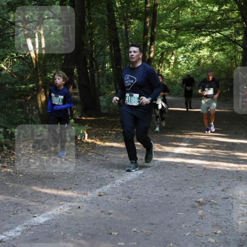 28.09.2025 - 33. Volkslauf durch das schöne Alstertal Strokosch-Dieckow http://msf.ph/oto/8968206 28.09.2025 10:55:14 Laufen 4081, 4186 meine-sportfotos.de