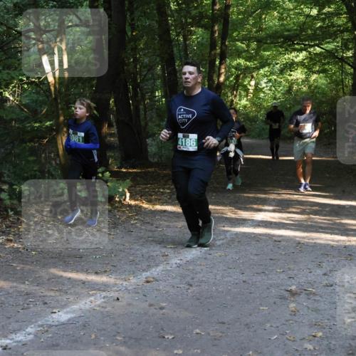 28.09.2025 - 33. Volkslauf durch das schöne Alstertal Strokosch-Dieckow http://msf.ph/oto/8968207 28.09.2025 10:55:15 Laufen 081, 4186 meine-sportfotos.de