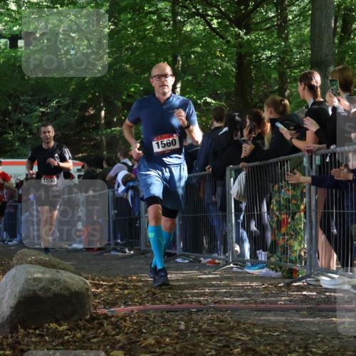 28.09.2025 - 33. Volkslauf durch das schöne Alstertal Strokosch-Dieckow http://msf.ph/oto/8968208 28.09.2025 11:48:41 Ziel 1560, 1590, 1607 meine-sportfotos.de