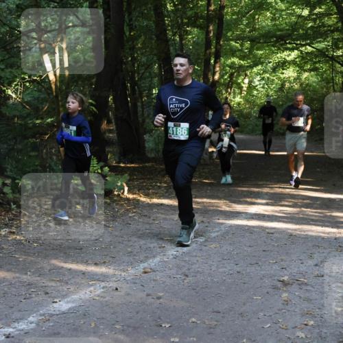 28.09.2025 - 33. Volkslauf durch das schöne Alstertal Strokosch-Dieckow http://msf.ph/oto/8968209 28.09.2025 10:55:15 Laufen 081, 4186 meine-sportfotos.de